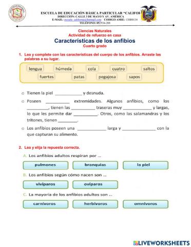 Caracteristicas de los anfibios