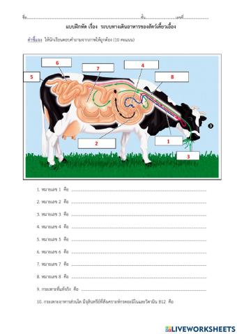 ระบบย่อยอาหาร