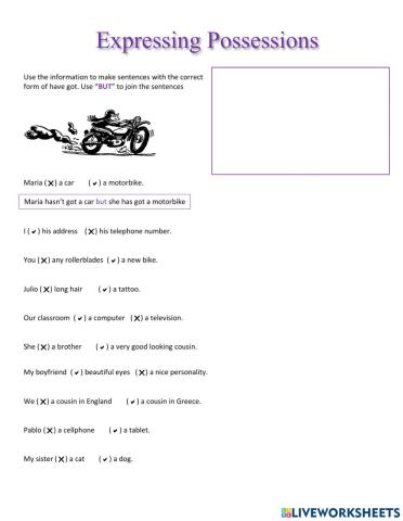 Expressing Possessions - Have got