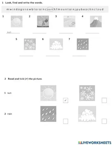 Academy stars 2 unit 5