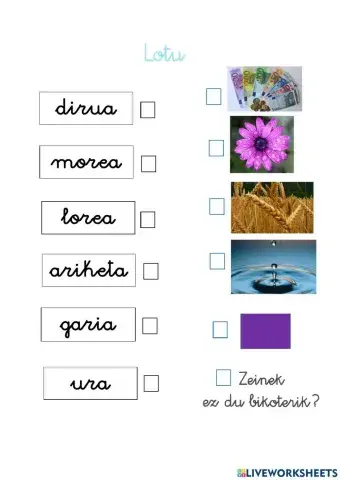 R leuna. Hiztegia IV