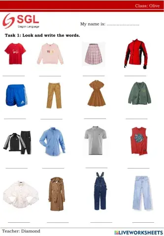 Clothes- Olive(27.8)