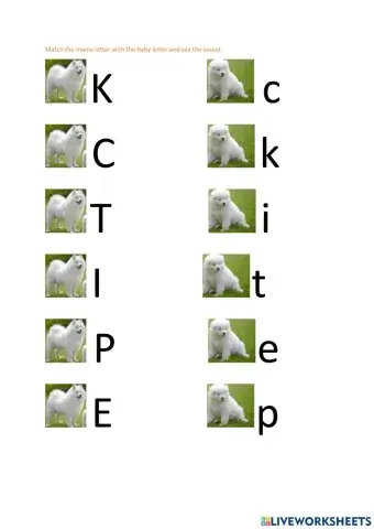 Uppercase and lower case letters