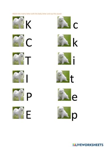 Uppercase and lower case letters