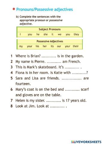 Possessive adjective