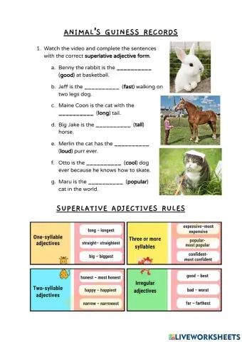 Animals' Guinness Records