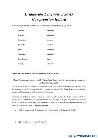 Evaluación ciclo -3 basica.