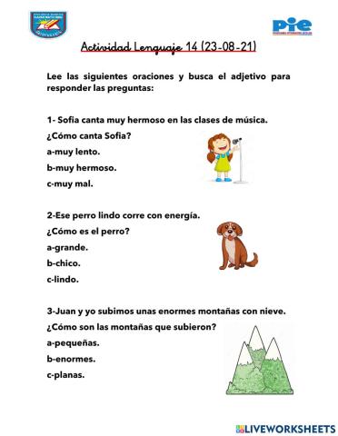 Actividad 14 refuerzo lector