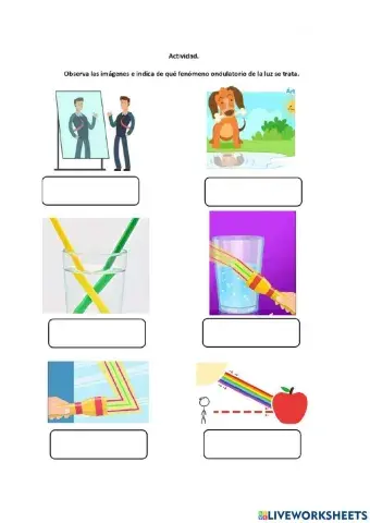 2do BGU 6to parcial semana 3