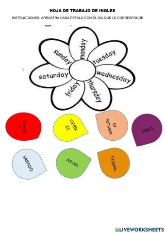 Dias de la semana en ingles