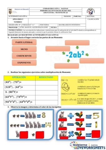 Actividad Evaluativa Matemáticas 1ro Fapt