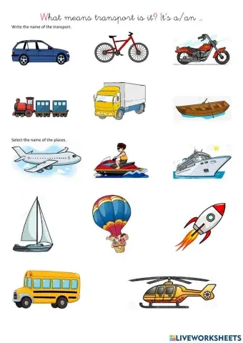 What means transport is it?