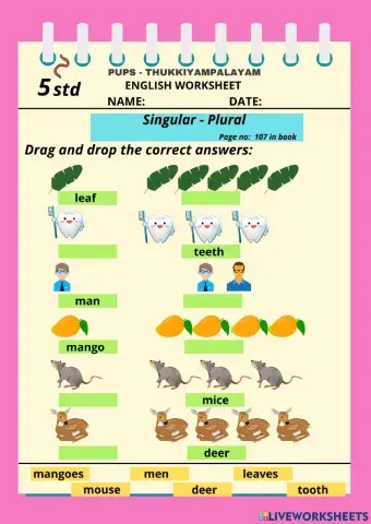 English - singular plural