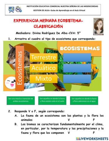 Ecosistemas-clasificación