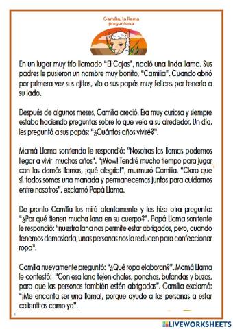 Camilia, la llama preguntona