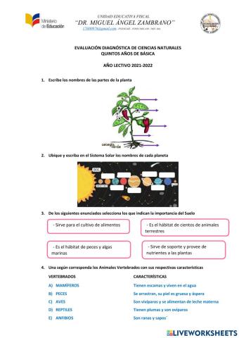 Diagnostico naturales