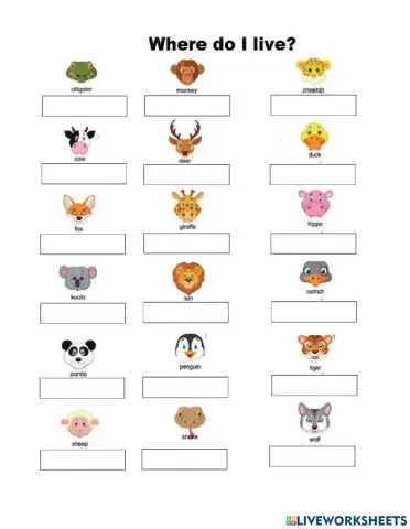 Habitats and animals