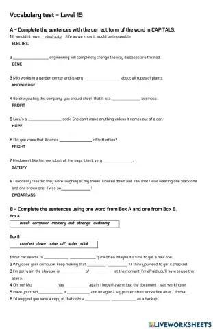 Vocabulary test Level 15