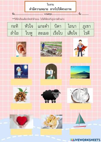 คำมีความหมาย ลากไปให้ตรงภาพ