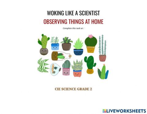 Living things, nonliving things and things once alive