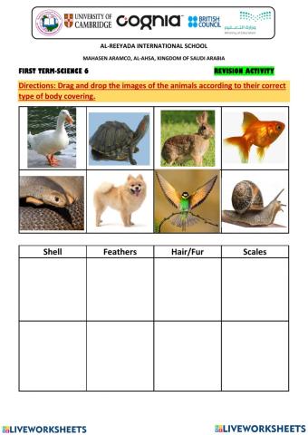 Gr. 6c: animal body covering (revision from tr. ashma b.)