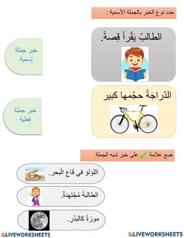 أنواع الخبر