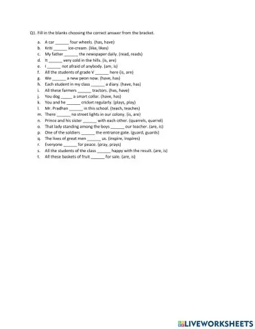 Subject verb agreement