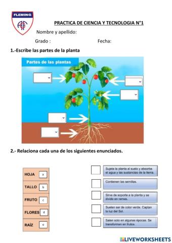 Practica de ciencia y teconologia