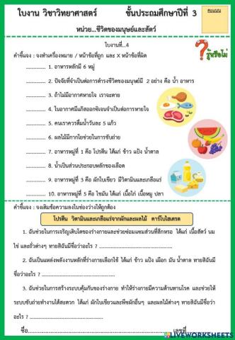ใบงานที่ 4 เรื่อง อาหาร 5 หมู่