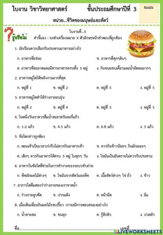 แบทดสอบสอบเรื่องอาหาร