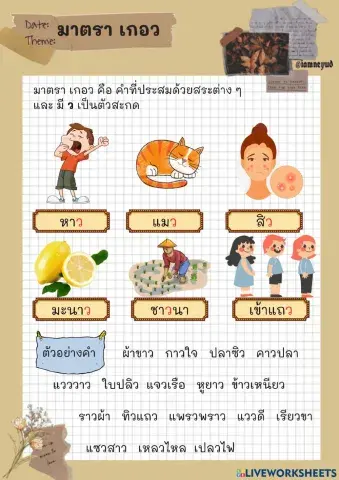 ใบความรู้ แม่เกอว