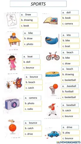 Primary Dic 1. SPORTS 2