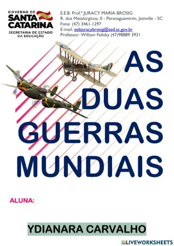 As duas guerras mundiais