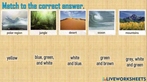 Worksheet for super minds unit 6 habitat - the old house