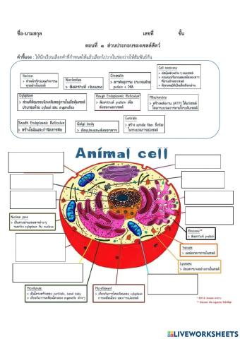 ส่วนประกอบของเซลล์