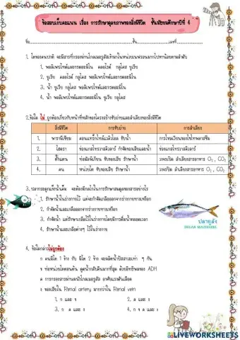 ข้อสอบ  การรักษาดุลยภาพ