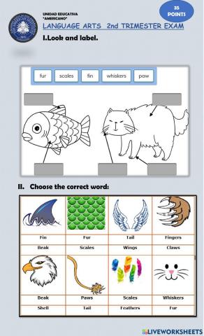 Language arts 2° trimester evaluation (4)