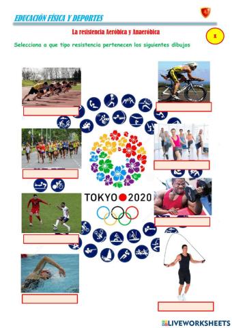 Resistencia aerobica y anaerobica