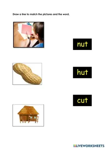 Family ut,un,um for making words