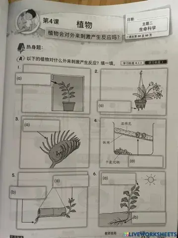 科学四年级