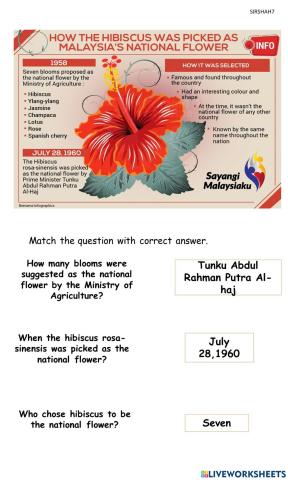 Malaysia's National Flower