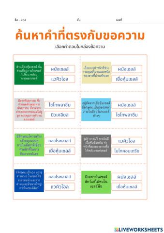 หน้าที่ของออแกเนลล์ในเซลล์