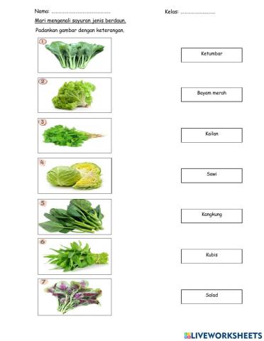 Tanaman Sayuran Berdaun