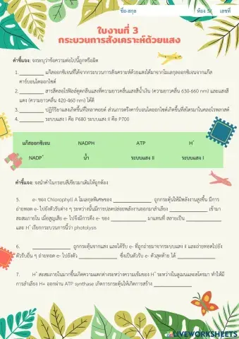 การสังเคราะห์ด้วยแสง