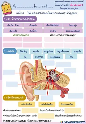 แบบทดสอบ เรื่อง เสียง ชุดที่ 1
