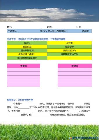 中四《两颗橡籽》