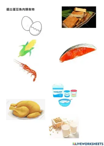 蛋豆魚肉類食物