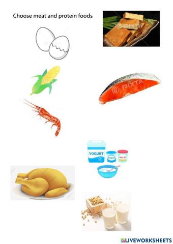 meat and protein foods