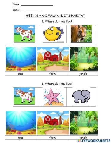 Week 32 - Animals and it's habitats