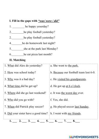 Past simple questions